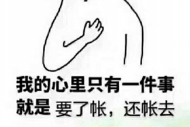 温县融资清欠服务